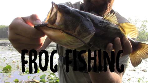 Topwater Frog Fishing - YouTube