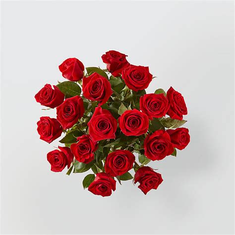 Long Stem Red Rose Bouquet