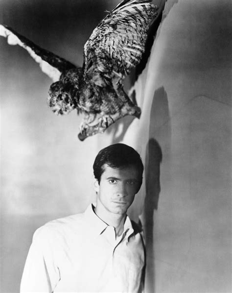 Psycho, Anthony Perkins, 1960 Photograph by Everett - Fine Art America