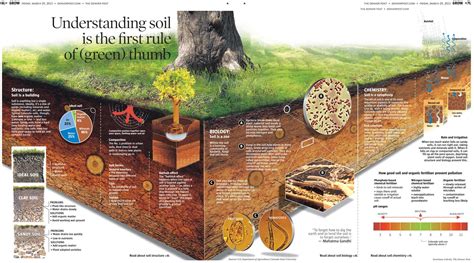 Do you know dirt about soil? Here’s a three-step primer – The Denver Post