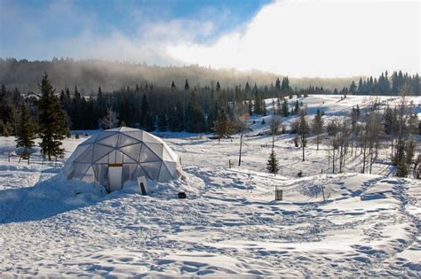 Preparing your Greenhouse for Winter - Growing Spaces Greenhouses