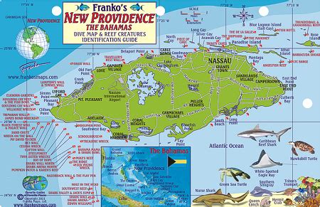 New Providence Map & Fish ID Card