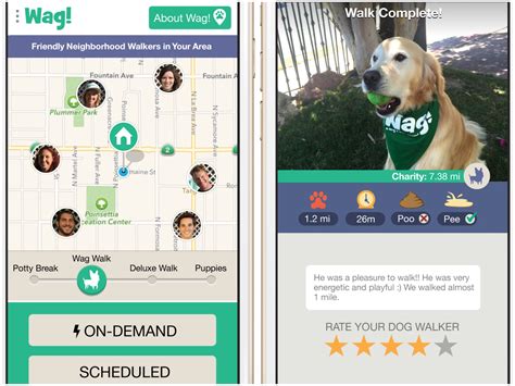 24/7 dog-walking app launches in Milwaukee