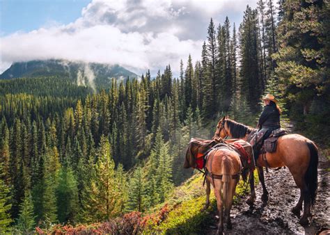 10 Tips for Beginner Riders to Look Like Experts in the Saddle ...