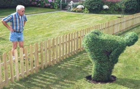 hedge-art