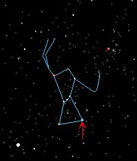 Rigel - Orionis constellation