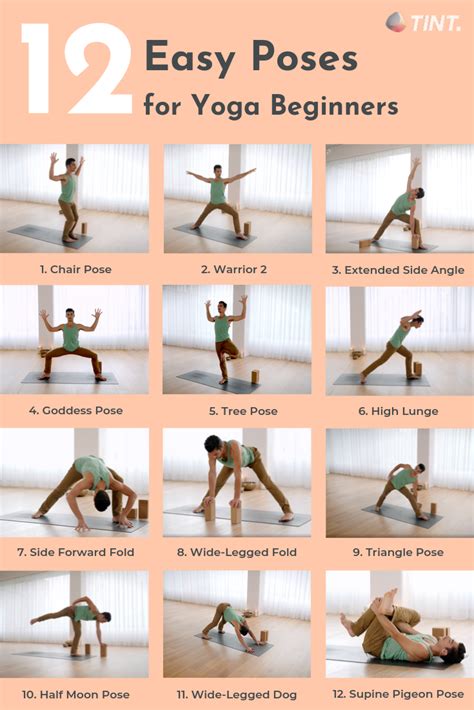 Discover 12 Essential Yoga Poses for Beginners