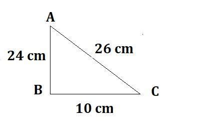 A right triangle has sides measuring 10, 24, and 26 cm. What is the ...