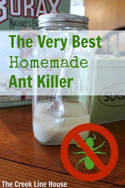 The Very Best Homemade Ant Killer - Homestead & Survival