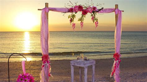 Download Romantic Beach Flowers Sunset Ocean Photography Pink - Wedding Background Full Hd On ...