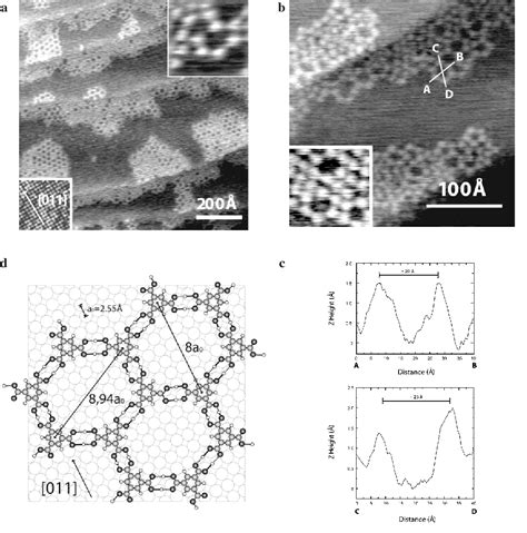 Figure 2 from Supramolecular Assemblies of Trimesic Acid on a Cu(100) Surface | Semantic Scholar