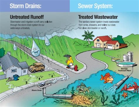 Stormwater Runoff Diagram