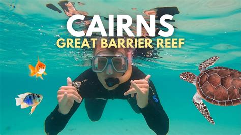 Experiencing the BEST of Cairns | Snorkeling, Waterfalls and Koalas! - YouTube