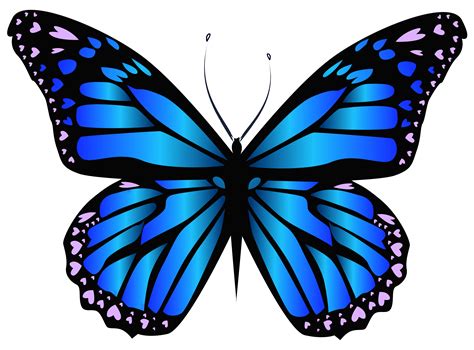 blue butterfly png 20 free Cliparts | Download images on Clipground 2024