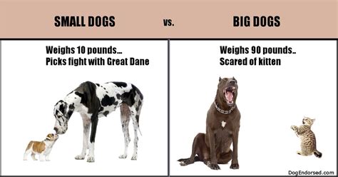 Small Dogs vs. Big Dogs | Big dogs, Small dogs, Dogs