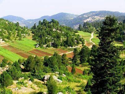 Lebanon, Akkar, Amoua countryside, beautiful...Love this place ...