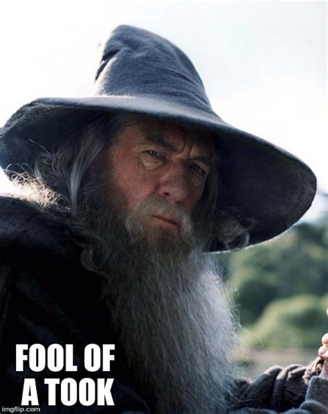 Image tagged in gandalf - Imgflip