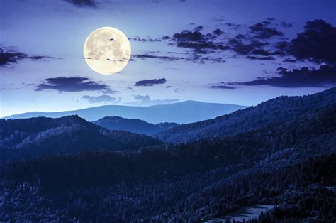 2560x1700 Forest Night Moon Clouds 4k Chromebook Pixel HD 4k Wallpapers, Images, Backgrounds ...