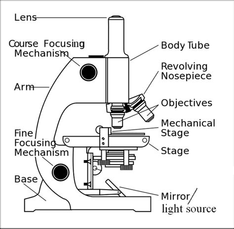 This lesson will illustrate the different parts that make up a microscope, and… | Microscope ...