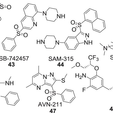 Analogs containing sulfonic acid functional group | Download Scientific Diagram