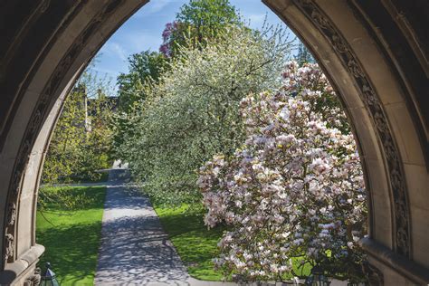 COLLEGE GARDENS IN 2018 | Oxford Alumni