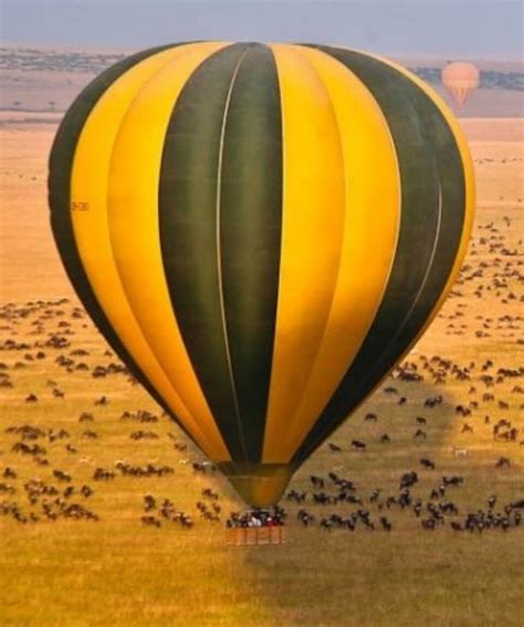 Masai Mara Balloon Safari Price / Cost - Masai Mara Hot Air Balloon Safari