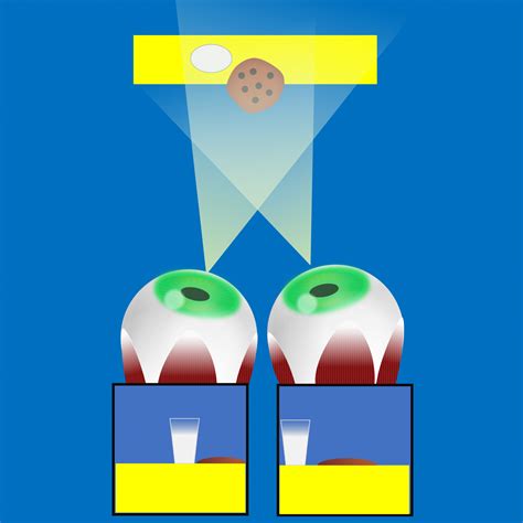 Oculomotor and Monocular Depth Cues – Introduction to Sensation and Perception