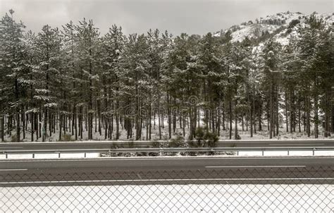 Snow in the Sierra Nevada Mountains Stock Image - Image of ...