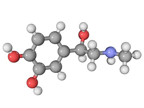 Adrenaline Hormone Molecule Photograph by Laguna Design