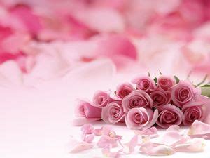 Pink romantic rose flower PPT background picture PowerPoint Templates ...