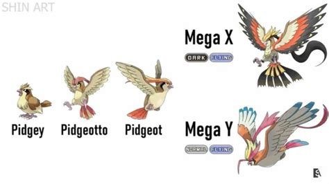 Bird Pokémon - A Comprehensive Guide to Feathered Wonders of the ...