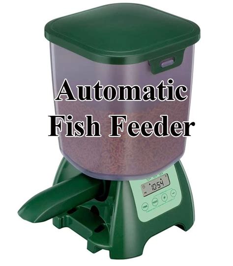 Automatic Fish Feeder (a 1 Product Category)