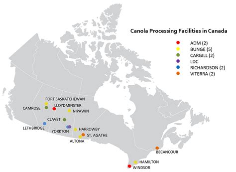 Canola industry in Canada, from farm to global markets