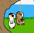 Guinea Pig Animations
