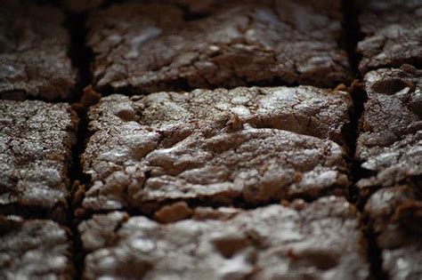 Deep Dish Brownies Recipe - Food.com