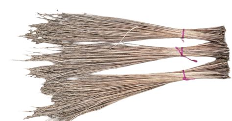 Coconut Broom Stick Manufacturer, Supplier from Tumkur