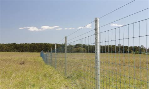 How to maintain farm fencing - FENCiT