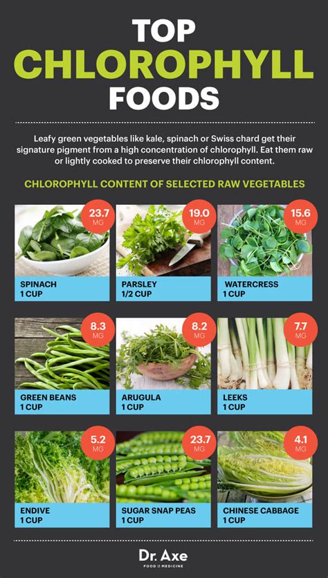 Chlorophyll: Key Benefits For Humans!