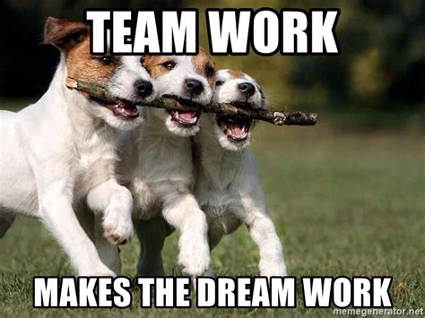 Team work Makes the dream work - 3 dogs teamwork | Meme Generator