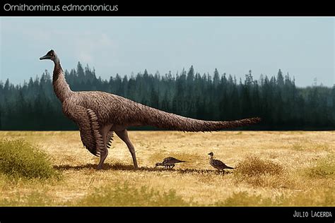 10 Facts About Ornithomimus, the "Bird Mimic" Dinosaur