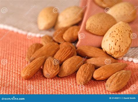 Whole and shelled almonds stock image. Image of nourishment - 3145011