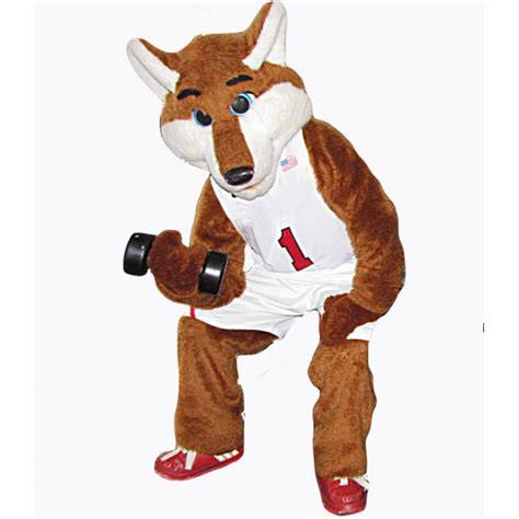 Basketball Sport Fox Costume Mascot Costume