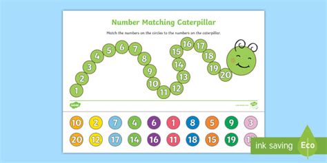 Numbers 1-20 Matching Caterpillar Activity - Number Matching Caterpillar