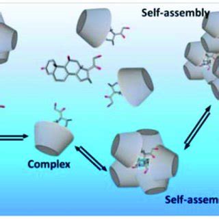 (PDF) Solubility of Cyclodextrins and Drug/Cyclodextrin Complexes