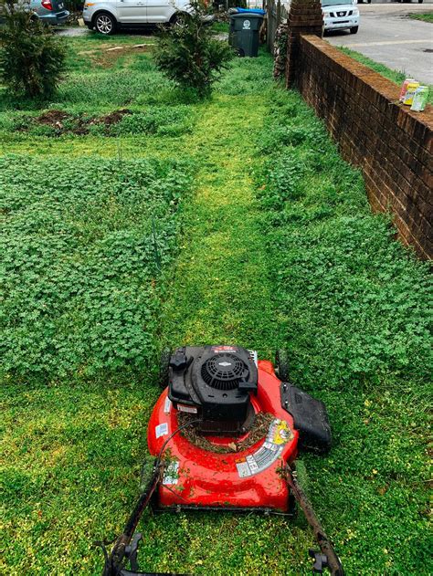 What is the best battery for a lawn mower? | Northeast Battery