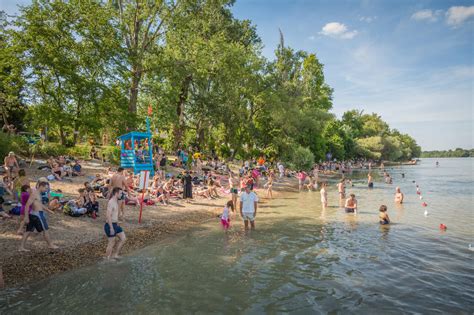 We had to wait 50 years - free beach opens in Budapest! - Daily News Hungary