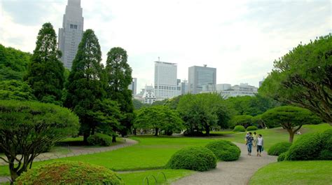 Shinjuku Gyoen National Garden in Shinjuku - Tours and Activities | Expedia.ca