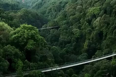 Intip Jembatan Gantung Terpanjang se-Indonesia di Jabar, Tinggi 107 Meter di Atas Sungai, Buat ...