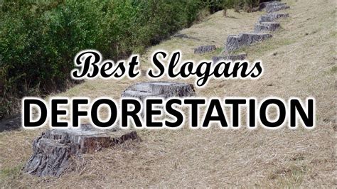 Best and Catchy FAMOUS SLOGANS ON DEFORESTATION