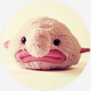 blobfish | Meaning & Origin | Dictionary.com